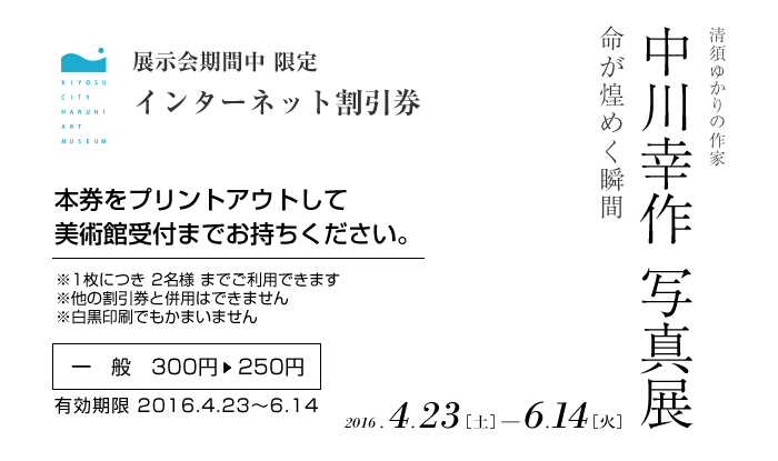 展覧会期間中 限定 インターネット割引券 ミッフィーのたのしいお花畑　ディック・ブルーナが描くお花と絵本の世界展　2015/7/5-9/28