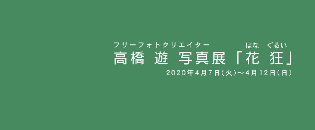 高橋 遊 写真展「花狂」