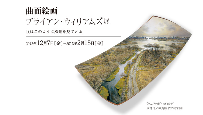曲面絵画 ブライアン・ウィリアムズ展
眼はこのように風景を見ている
2012年12月7日［金］−2013年2月15日［金］