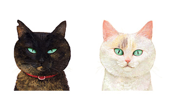 『ねことねこ』原画 こぐま社 2019年