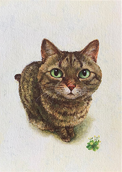 『なまえのないねこ』原画 小峰書店 2019年